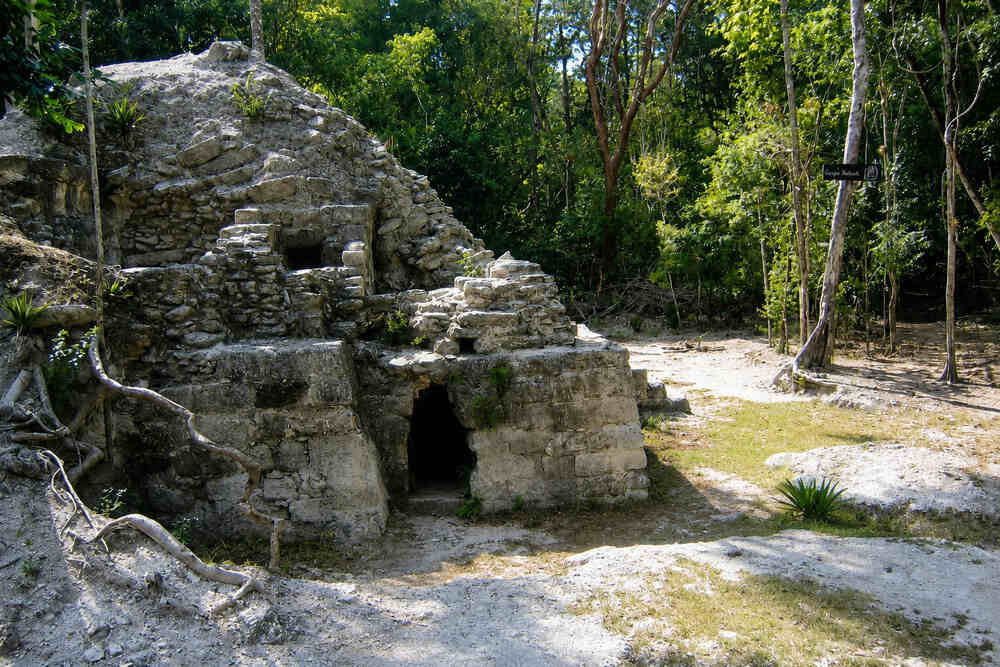 ruinas muerta tintal 