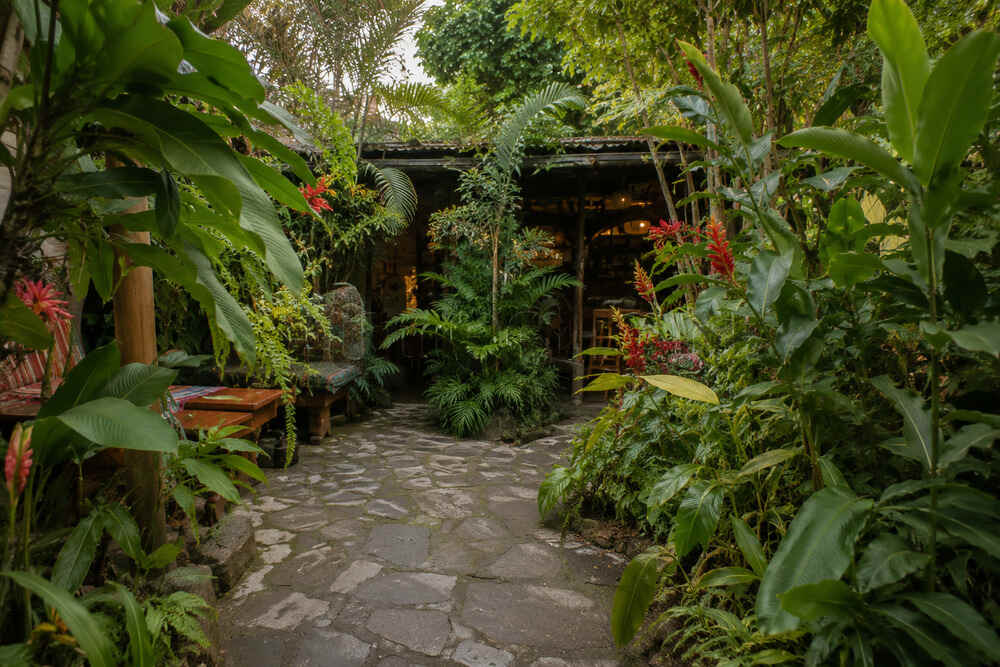 San Marcos Restaurant Bar La Laguna