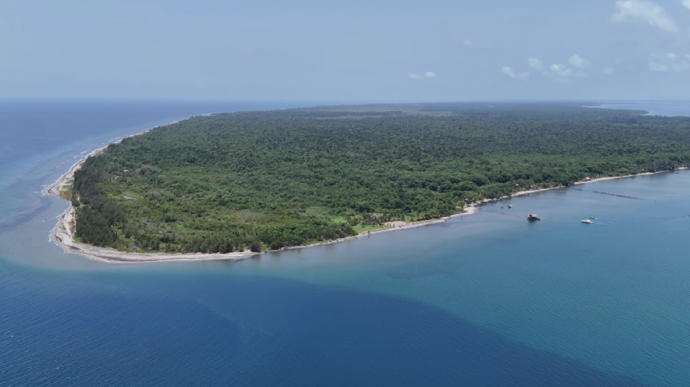marine species birds gulf honduras