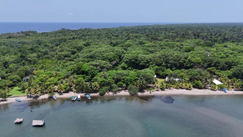 Practical tips visiting Gulf honduras