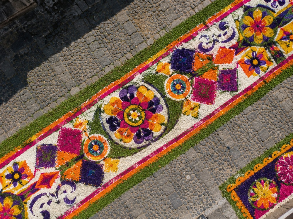 como llegar festival flores