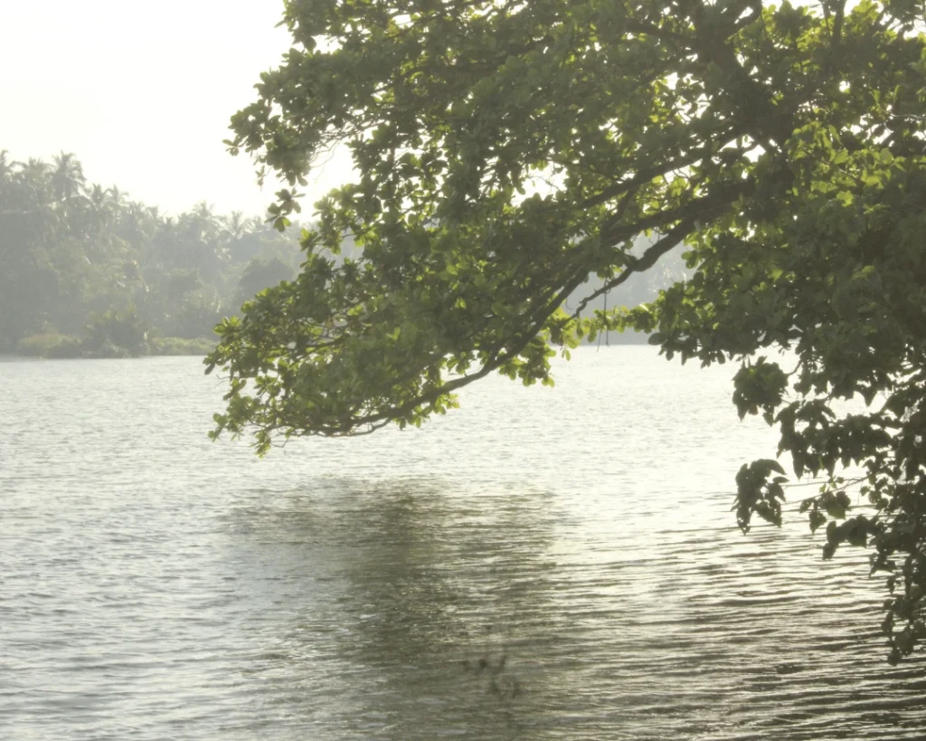 Practical tips for visiting Lake Macanché