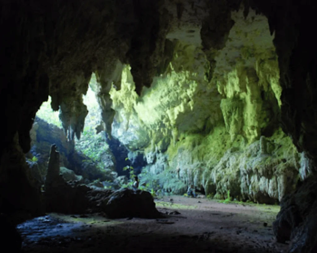 como organizar visita cuevas candelaria