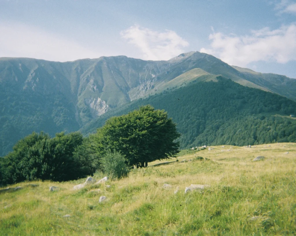 donde esta sierra las minas