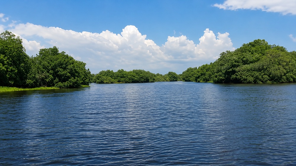 Lage Schildkroetenaufzuchtstation Dorf Monterrico Taxisco