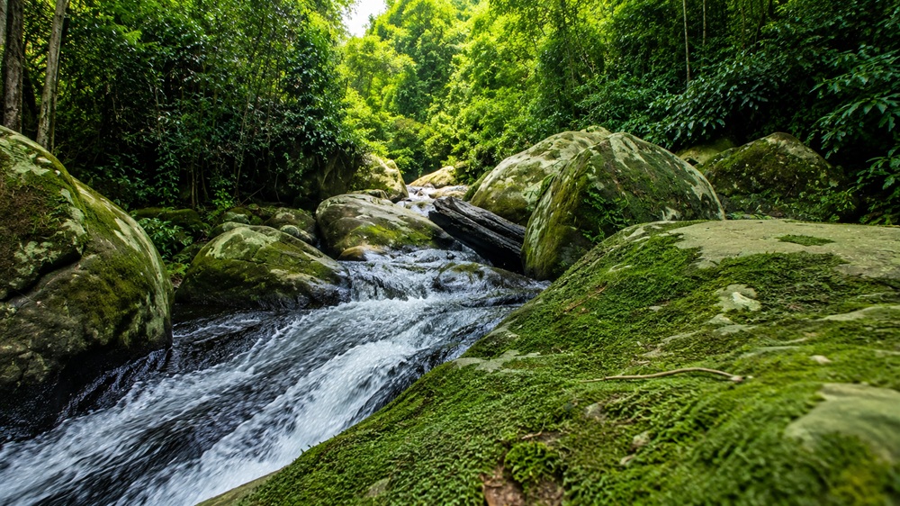 la ruidosa hiking trail