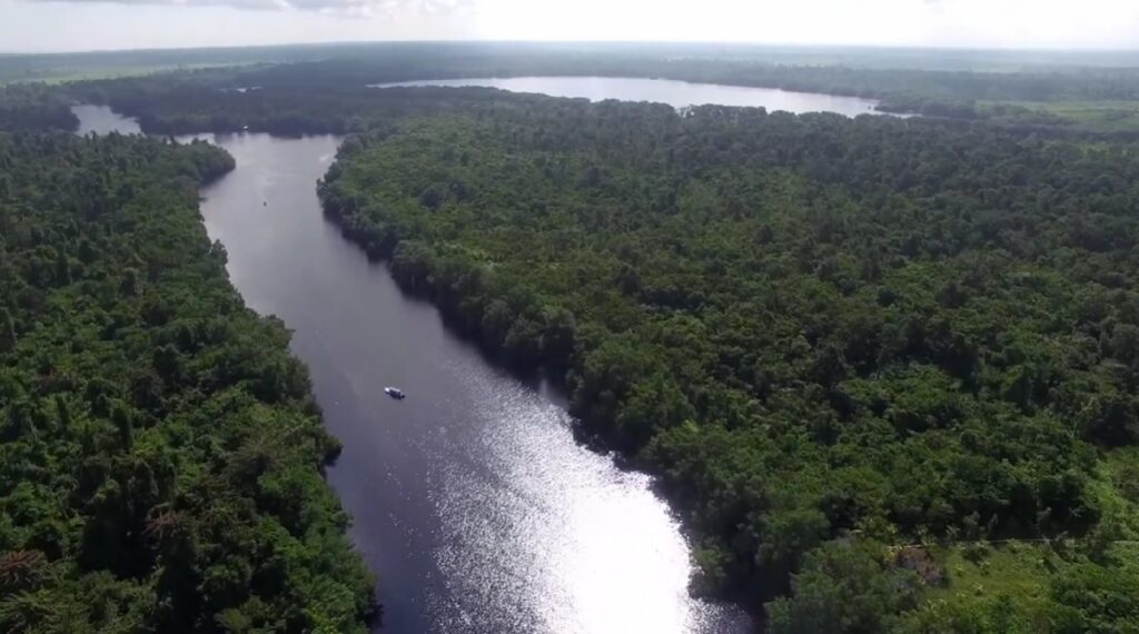 what see Gulf Honduras features