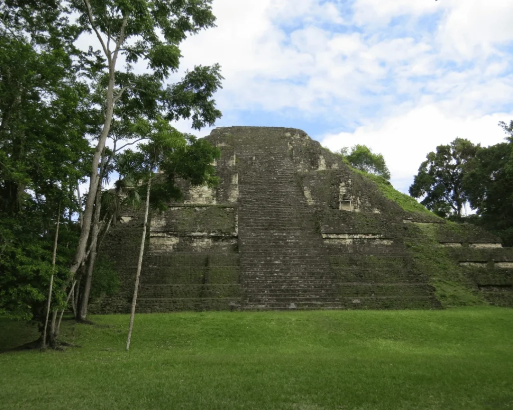 arquitectura dimensiones la danta