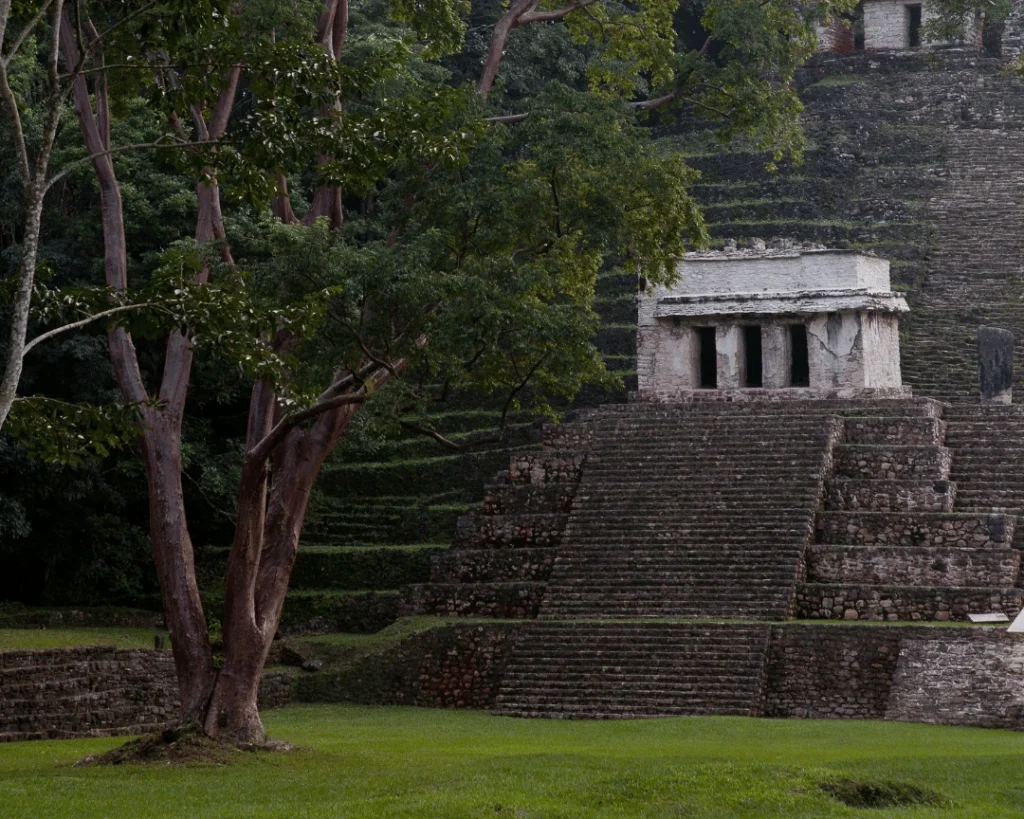 consejos visitar la danta el mirador