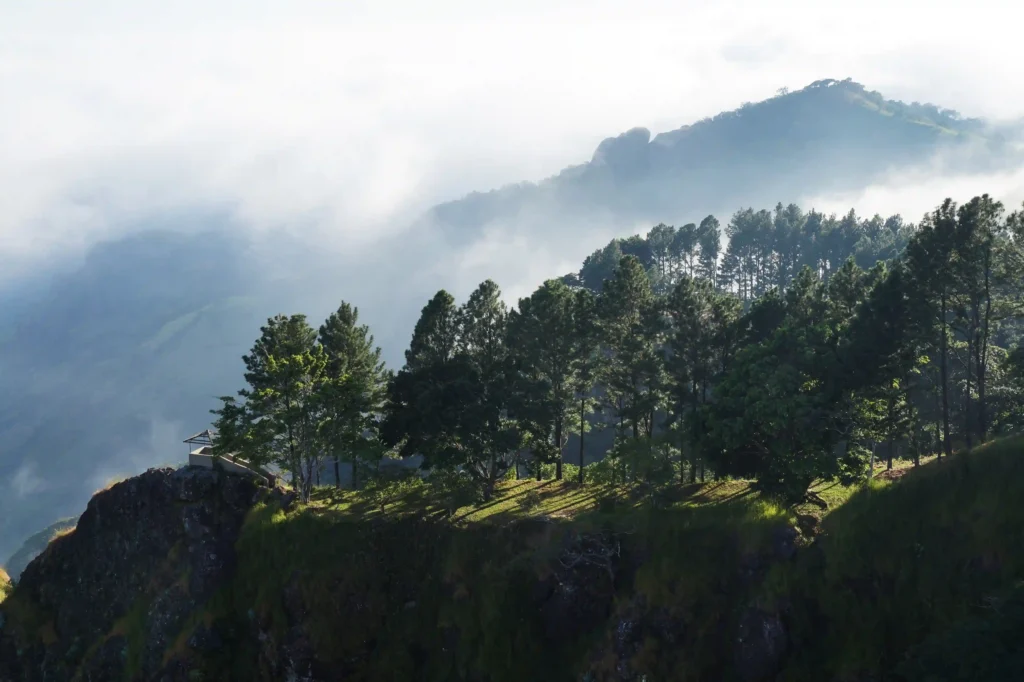 a mountainous landscape seen from a viewpoint in Xela, amidst forests and mist