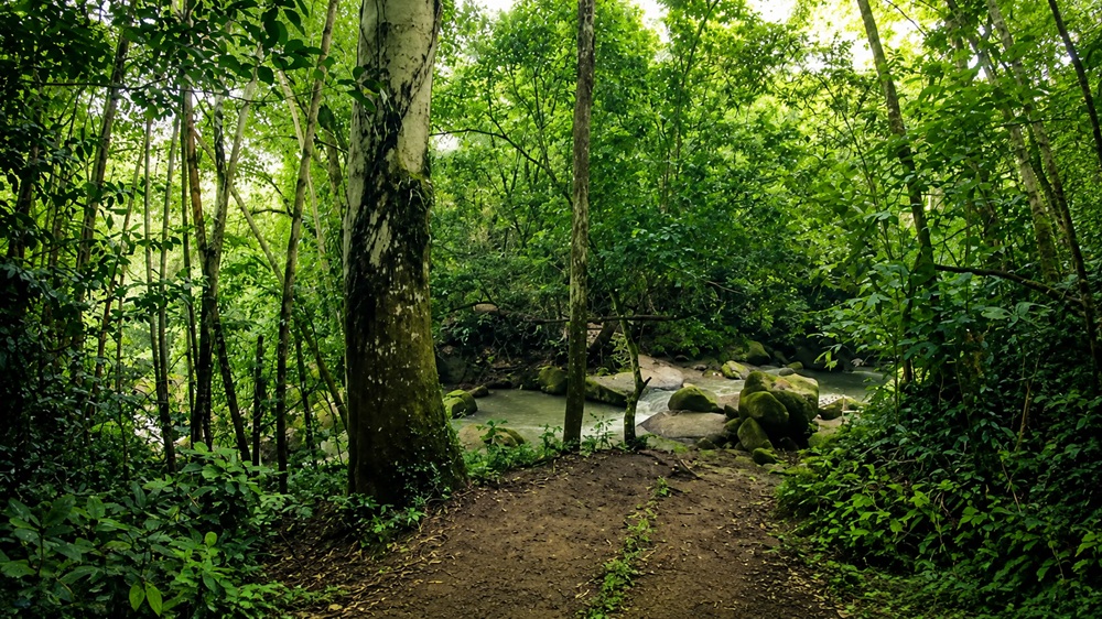 difficult la ruidosa trail