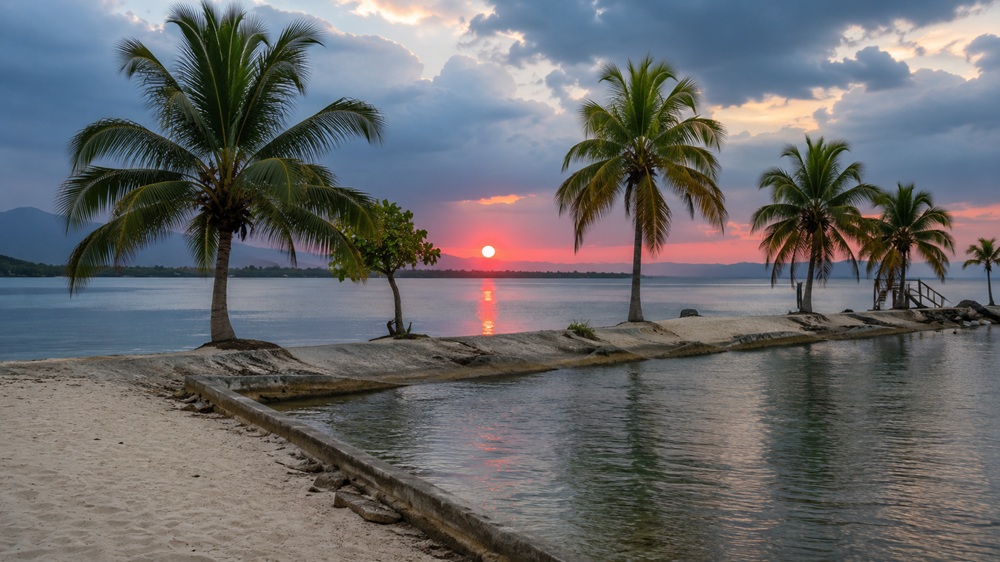 How get Punta Palma