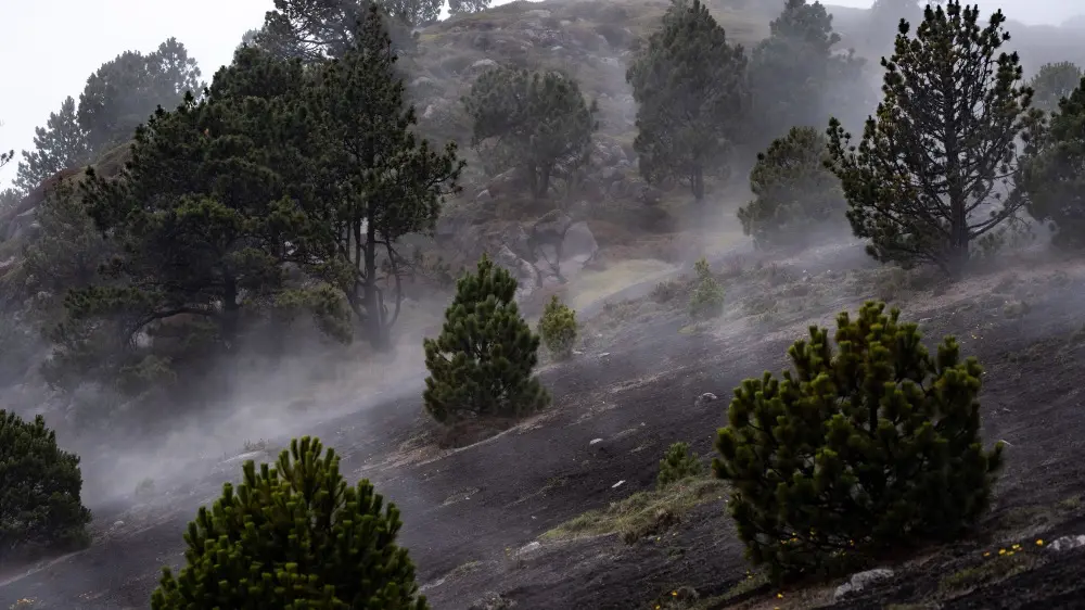 Acatenango landscape hike