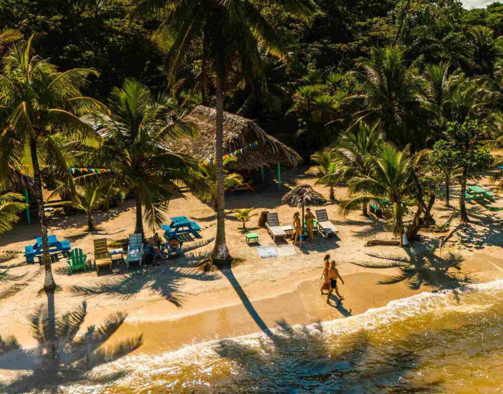 playas guatemala card caribe palmeras