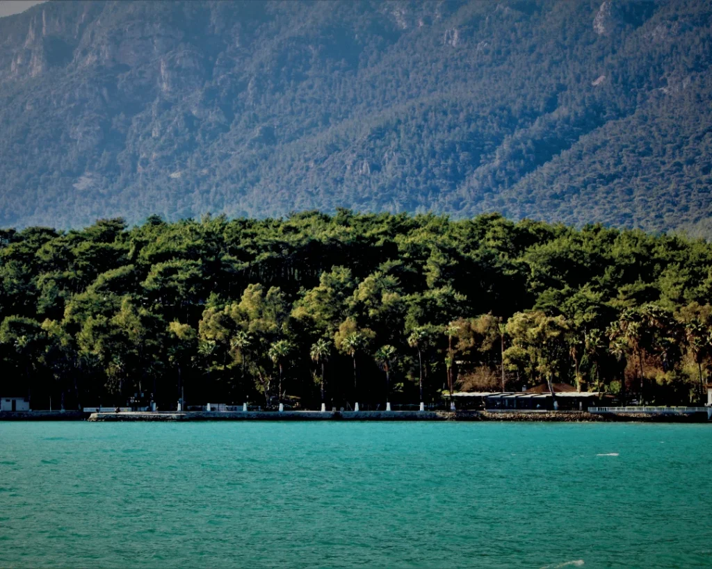 offered by Laguna Brava