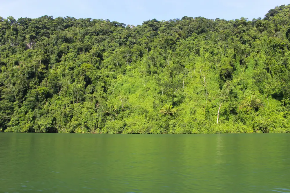 Rio Dulce Guatemala