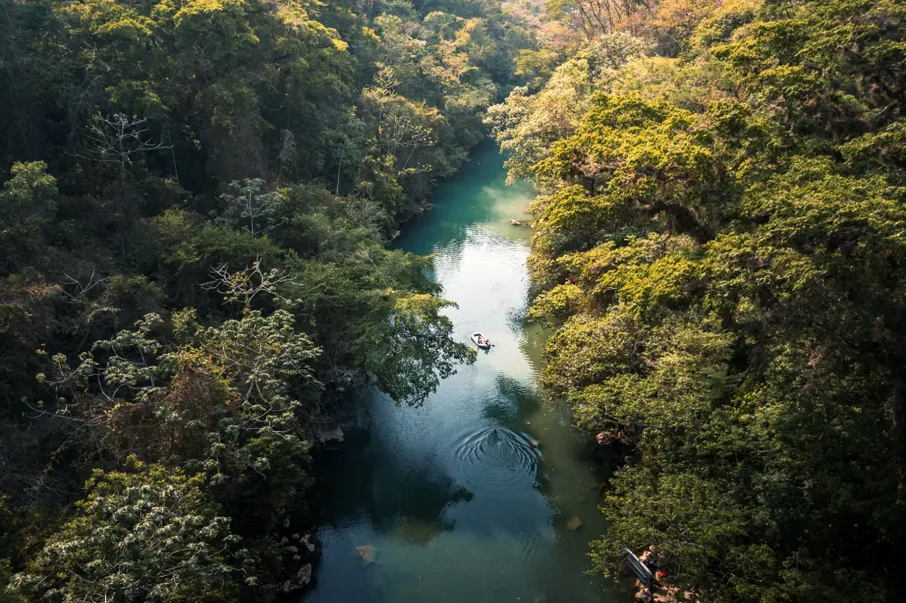 La Pasion River Peten nature jungle freshwater