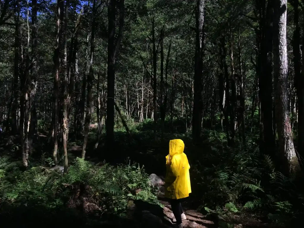 persona con chubasquero caminando por sendero humedo en el parque nacional las victorias