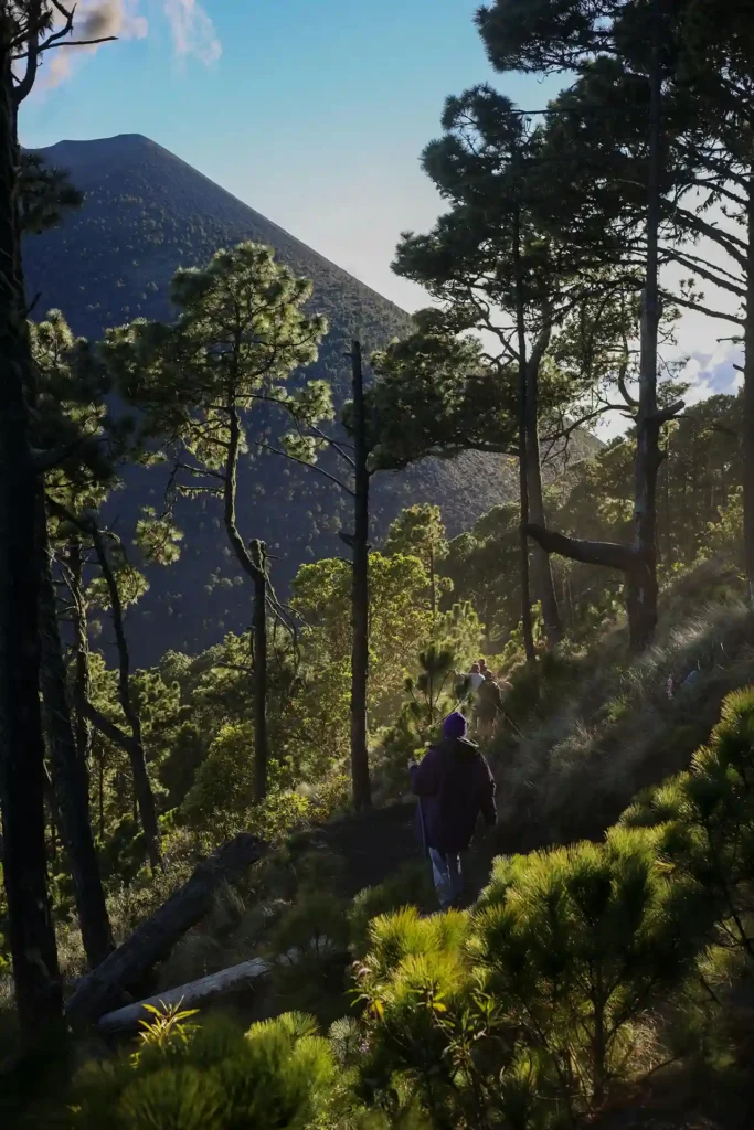 persona caminando sendero entre bosques protegidos parque nacional ls victorias