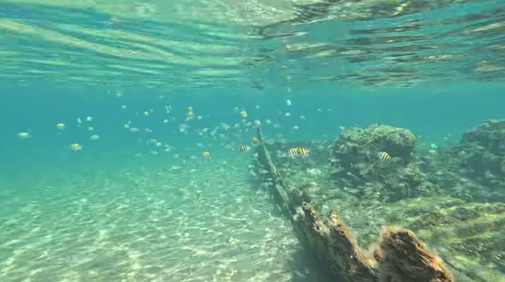 water sports